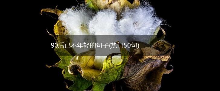90后已不年轻的句子(热门50句),第1张
