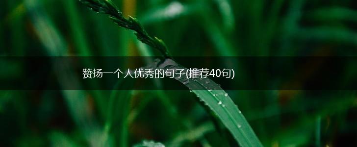 赞扬一个人优秀的句子(推荐40句),第1张