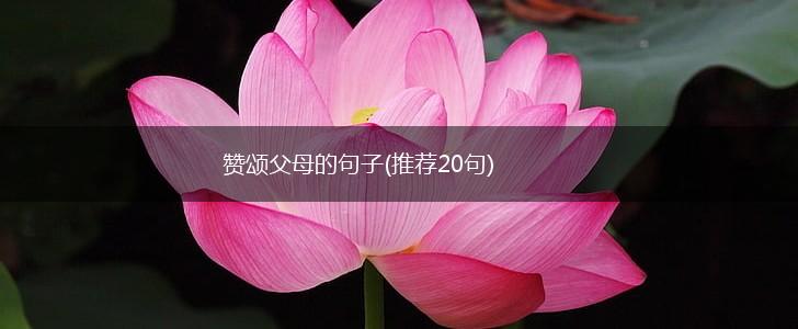 赞颂父母的句子(推荐20句),第1张