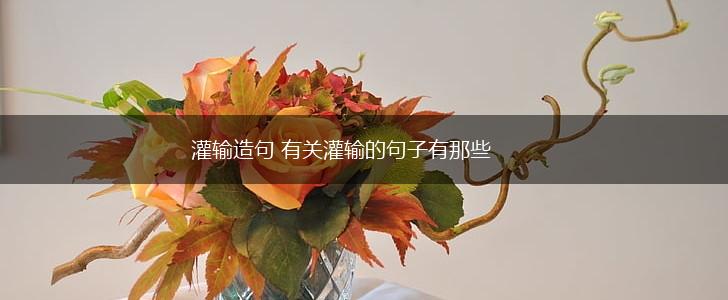 灌输造句 有关灌输的句子有那些,第1张