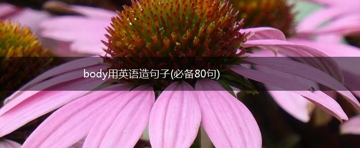 body用英语造句子(必备80句),第1张