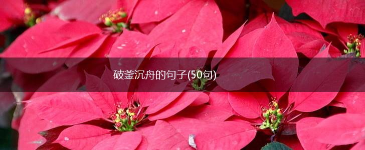 破釜沉舟的句子(50句),第1张