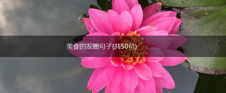 美食的发圈句子(共50句),第1张