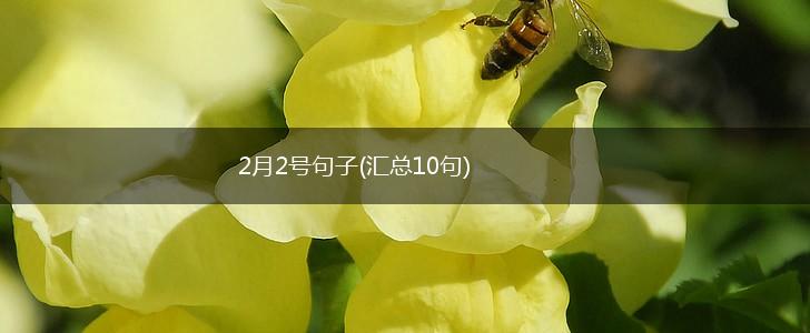 2月2号句子(汇总10句),第1张