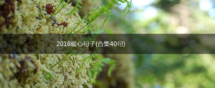 2016暖心句子(合集40句),第1张