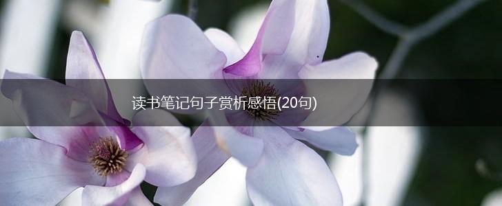 读书笔记句子赏析感悟(20句),第1张
