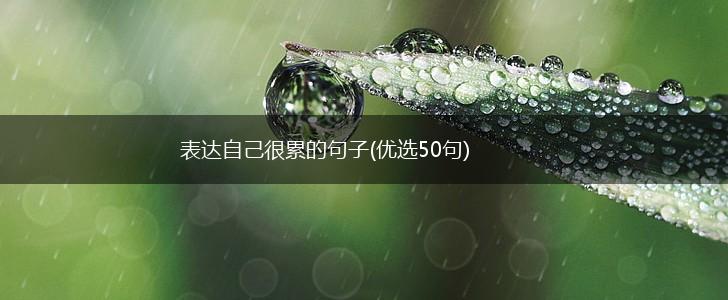 表达自己很累的句子(优选50句),第1张