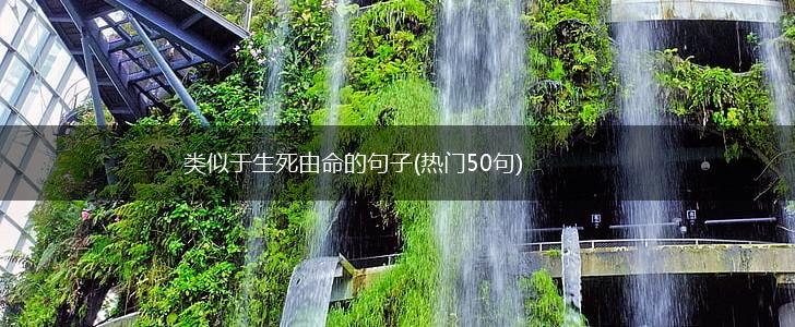 类似于生死由命的句子(热门50句),第1张