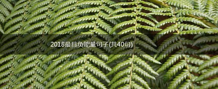 2018最具负能量句子(共40句),第1张