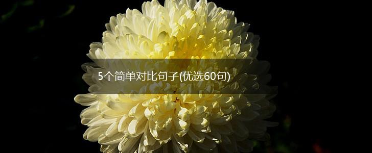 5个简单对比句子(优选60句),第1张