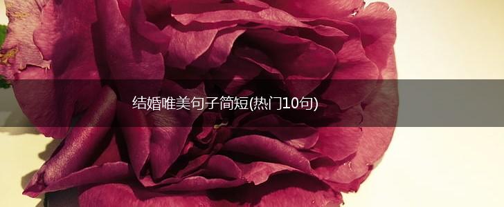 结婚唯美句子简短(热门10句),第1张
