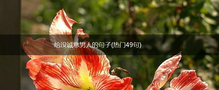 给没诚意男人的句子(热门49句),第1张
