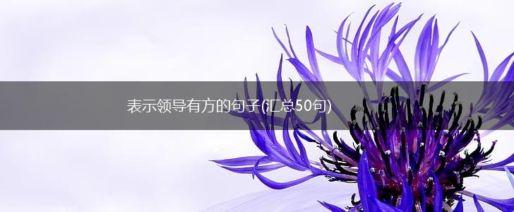 表示领导有方的句子(汇总50句),第1张