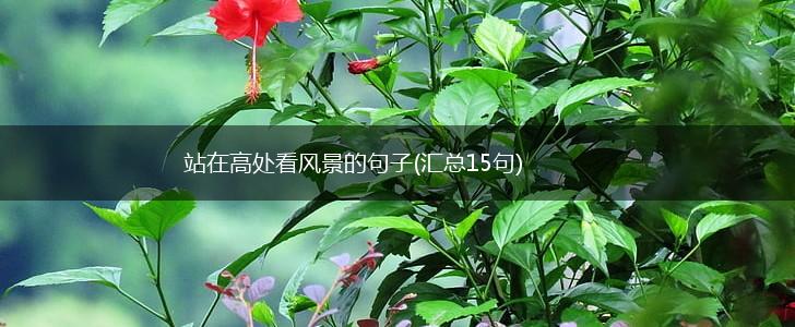 站在高处看风景的句子(汇总15句),第1张