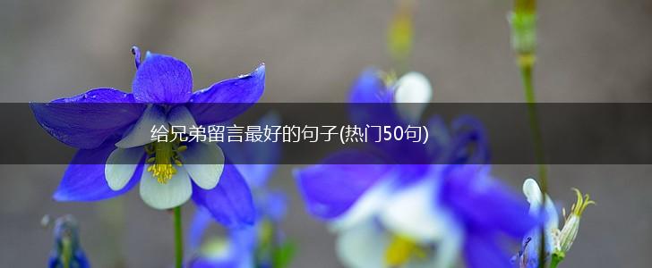 给兄弟留言最好的句子(热门50句),第1张