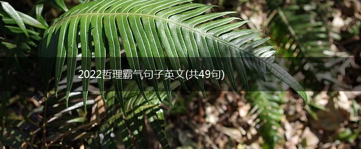 2022哲理霸气句子英文(共49句),第1张