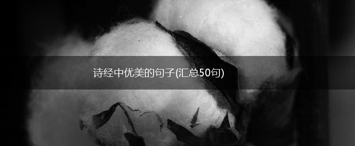 诗经中优美的句子(汇总50句),第1张