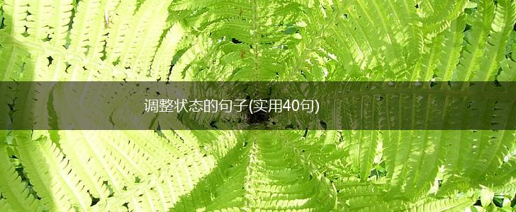 调整状态的句子(实用40句),第1张