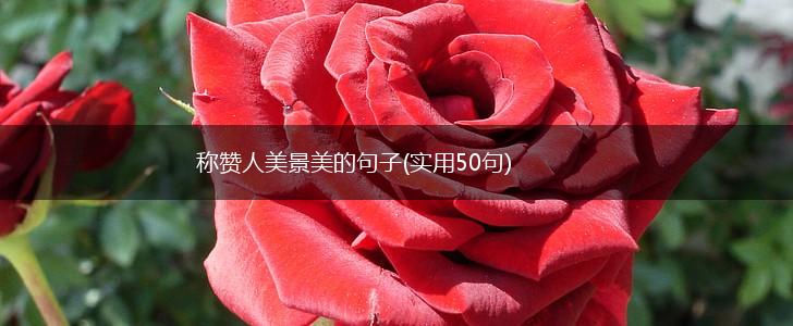 称赞人美景美的句子(实用50句),第1张