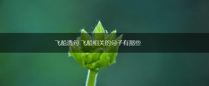 飞船造句 飞船相关的句子有那些,第1张