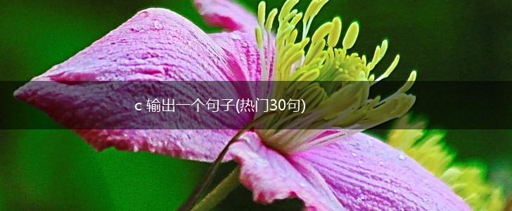 c 输出一个句子(热门30句),第1张