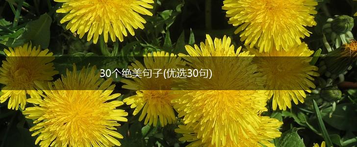 30个绝美句子(优选30句),第1张