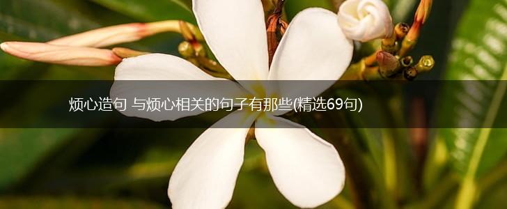 烦心造句 与烦心相关的句子有那些(精选69句),第1张