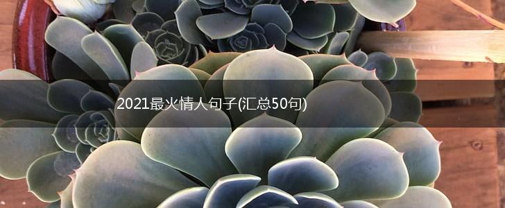 2021最火情人句子(汇总50句),第1张