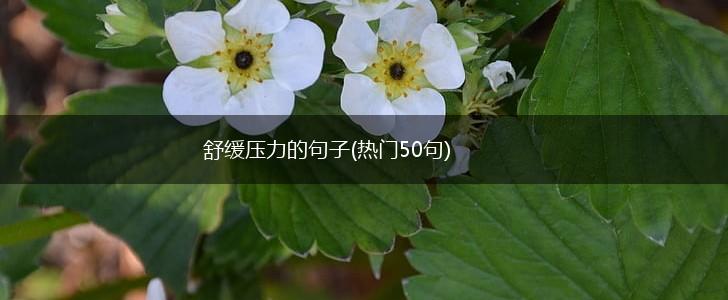 舒缓压力的句子(热门50句),第1张
