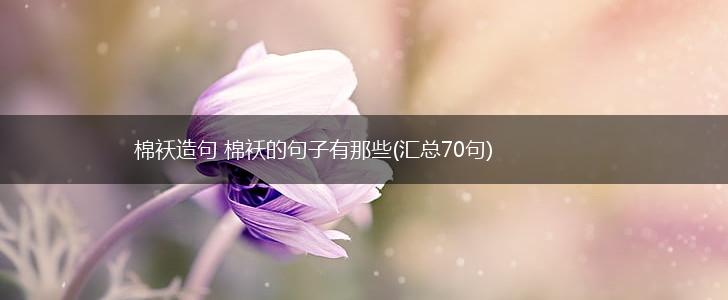 棉袄造句 棉袄的句子有那些(汇总70句),第1张