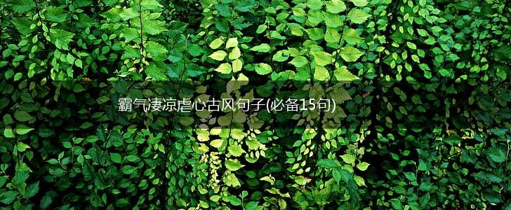 霸气凄凉虐心古风句子(必备15句),第1张