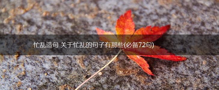 忙乱造句 关于忙乱的句子有那些(必备72句),第1张