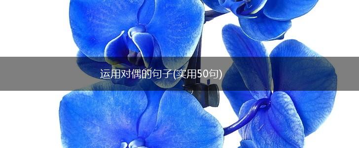 运用对偶的句子(实用50句),第1张