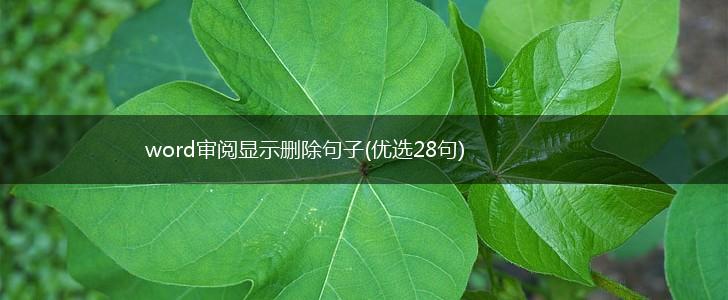 word审阅显示删除句子(优选28句),第1张