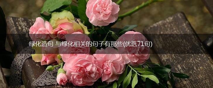 绿化造句 与绿化相关的句子有那些(优选71句),第1张