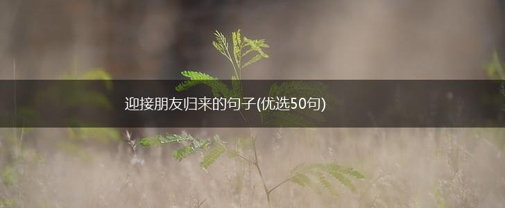 迎接朋友归来的句子(优选50句),第1张