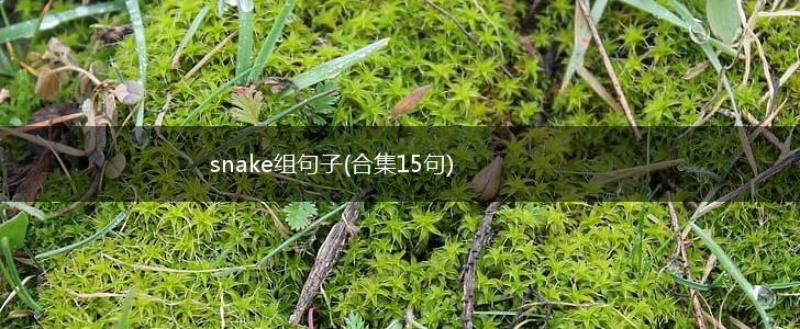 snake组句子(合集15句),第1张