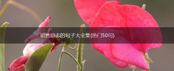 销售励志的句子大全集(热门50句),第1张