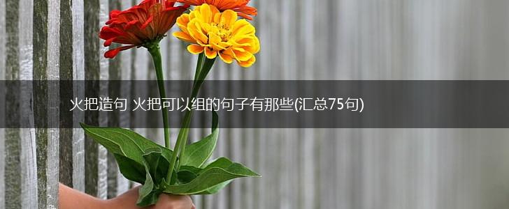 火把造句 火把可以组的句子有那些(汇总75句),第1张