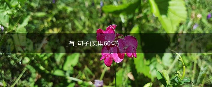 _有_句子(实用60句),第1张