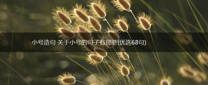 小号造句 关于小号的句子有那些(优选68句),第1张