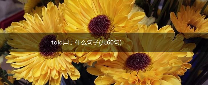 told用于什么句子(共60句),第1张