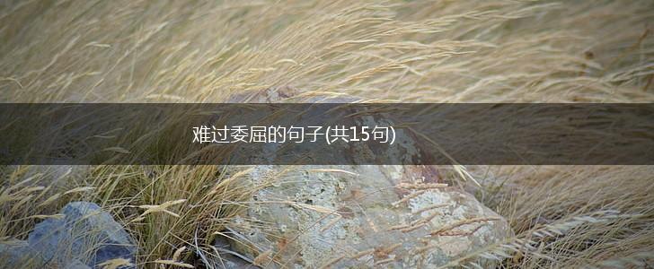 难过委屈的句子(共15句),第1张