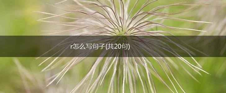 r怎么写句子(共20句),第1张
