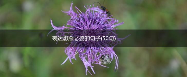 表达想念老婆的句子(50句),第1张