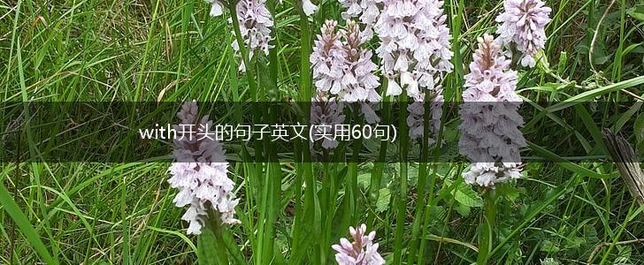 with开头的句子英文(实用60句),第1张