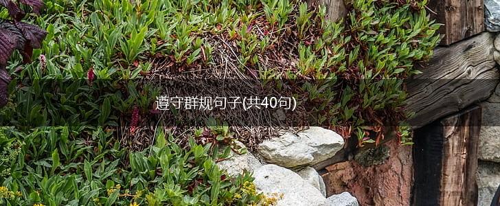 遵守群规句子(共40句),第1张