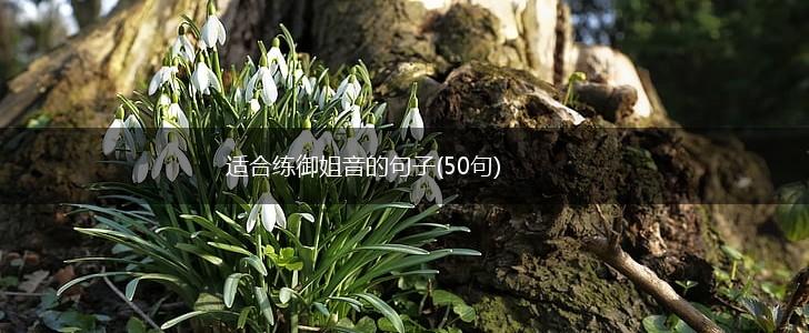 适合练御姐音的句子(50句),第1张
