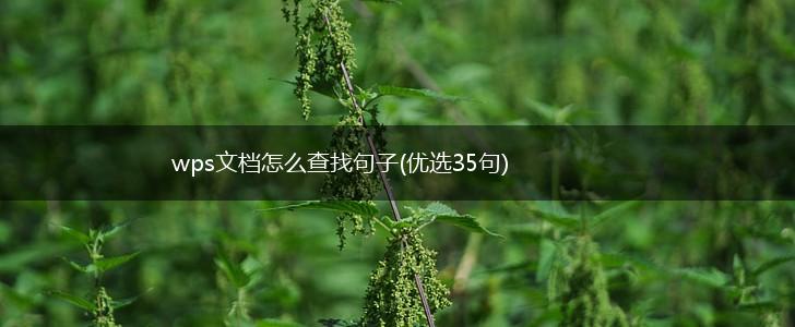 wps文档怎么查找句子(优选35句),第1张