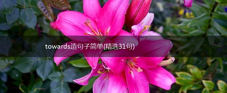 towards造句子简单(精选31句),第1张